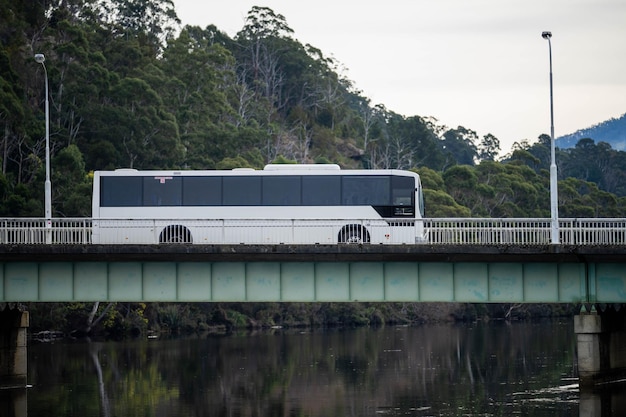 autobús blanco en un puente en australia