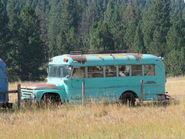 Foto autobús en el campo contra los árboles