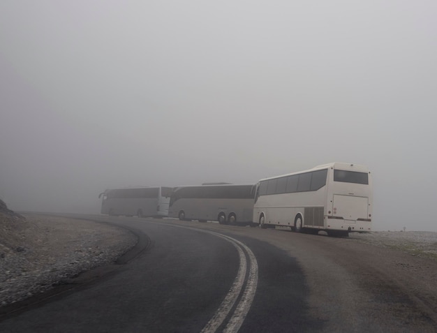 Autocarros turísticos para a estrada montanhosa, neblina e nuvens na floresta nas montanhas Dirfys na ilha Evia, Grécia