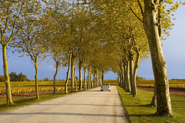 Autofahren durch die Spur