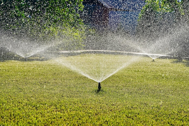 Automatische Gartensprinkler-Hinterhof-Bewässerungstechnologie für grünen Rasen