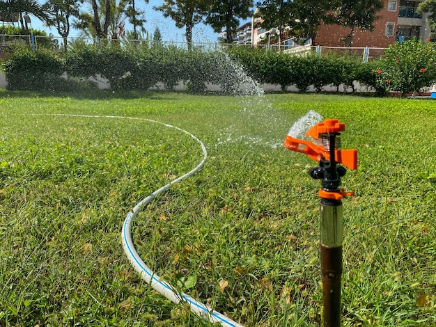 Automatische Sprinkleranlage für grünes Gras zum Bewässern von Rasenpflanzen