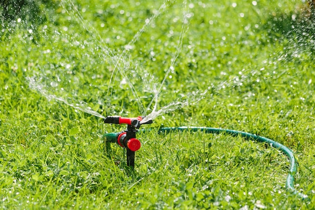 Automatische Sprinklerbewässerung im Garten