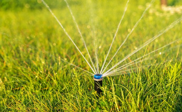 Automatischer Sprinkler, der den grünen Rasen im Park bewässert. Bewässerungssystem.