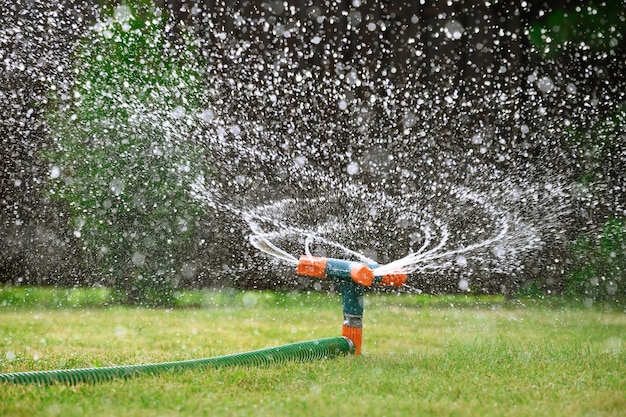 Automatisches Bewässerungssystem für grünen Rasen im Park Rasenbewässerung bei Hitze im Sommer