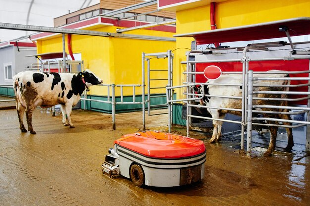 Automatisierte Kuhfarm Melkmaschine Moderne Milchproduktionstechnologie im Werk