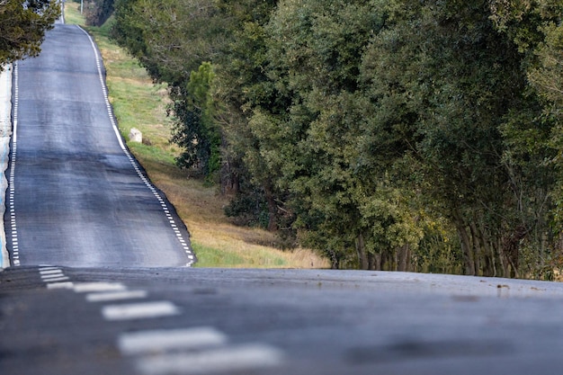 Autopista infinita al cielo desde el suelo.