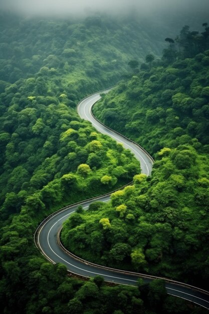 Foto autopista en el medio del bosque vista de los pájaros ai generativa