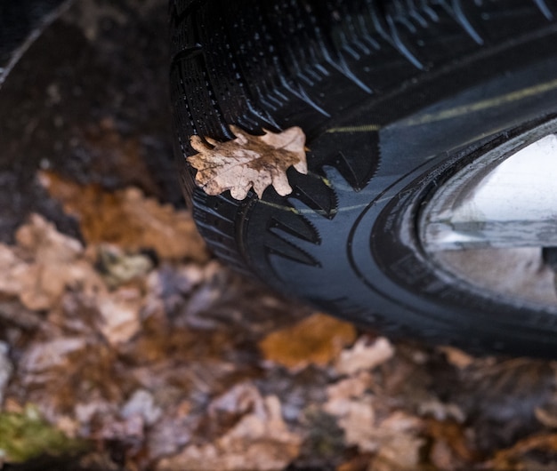 Autoreifen mit Ahornblatt im Herbst Nahaufnahme von Autorädern Transport- und Sicherheitskonzept