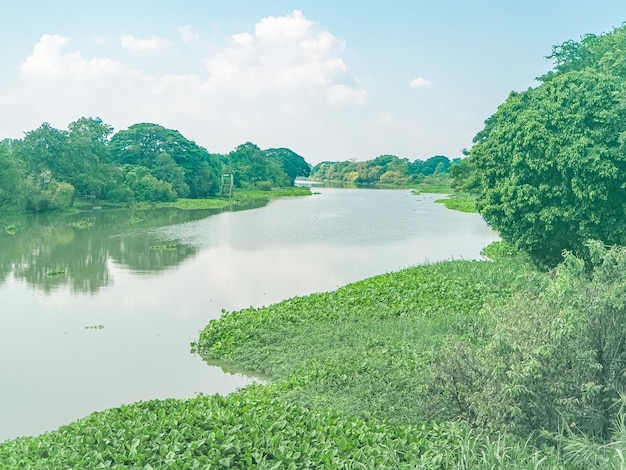 Autoridad del lago Tanganica