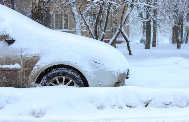 Autos cubiertos de nieve