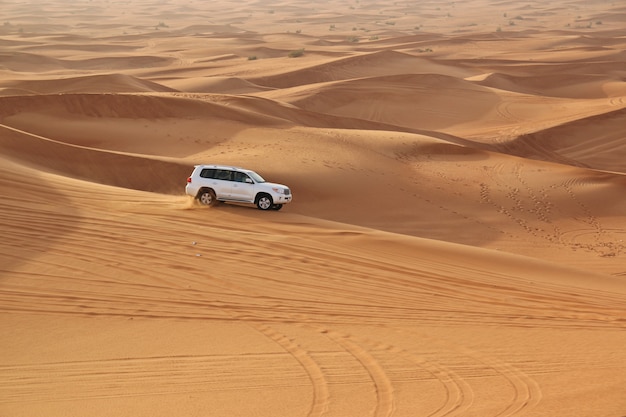 Autos en un desierto