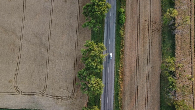 Autos fahren die Straße mit Bäumen zwischen großen Feldern mit gelbem reifem Weizen im Sommer landwirtschaftlich