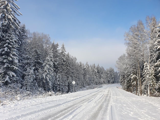 Autostraße durch den schneebedeckten Winterwald