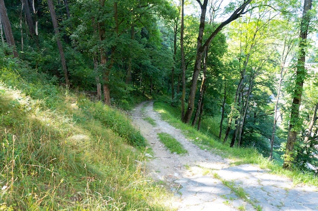 Autoweg vom Schloss zur Straße