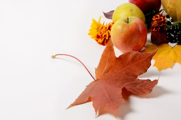 Autumn Composition von Gemüse und von Früchten, Blätter, Äpfel, Birnen auf einem weißen Hintergrund.