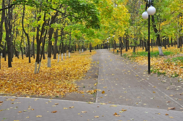 Autumn Park en el momento de la defoliación