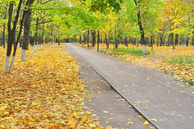 Autumn Park en el momento de la defoliación