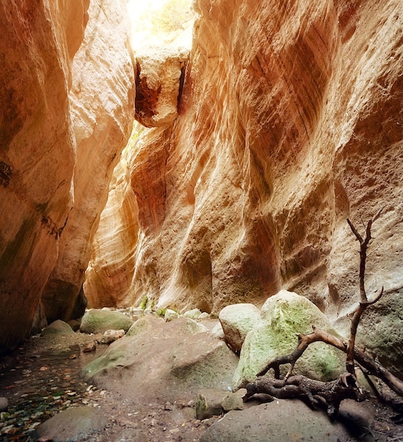 Foto avakas-schlucht am sommertag