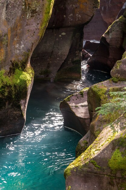 Avalanche Creek