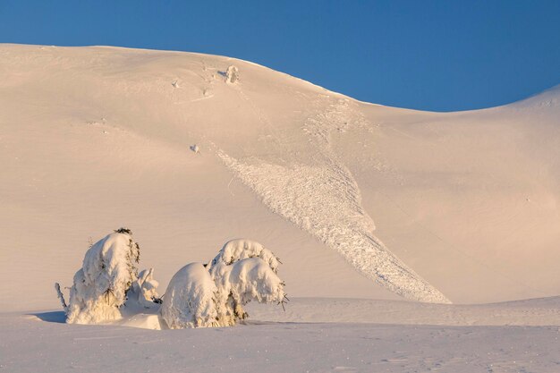 Avalanche de neve na encosta da montanha sob luz solar quente