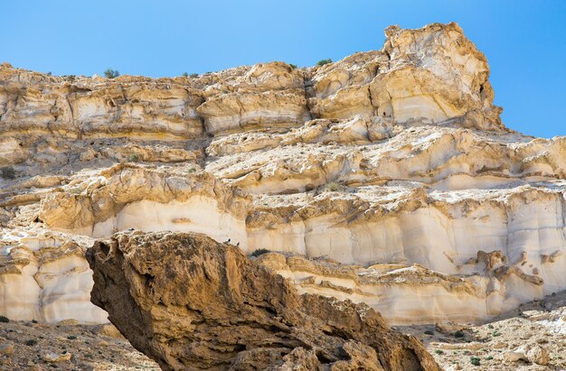 Avdat Canyon in der Wüste Negev, Israel