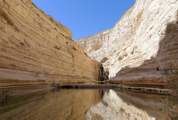 Avdat Canyon in der Wüste Negev, Israel