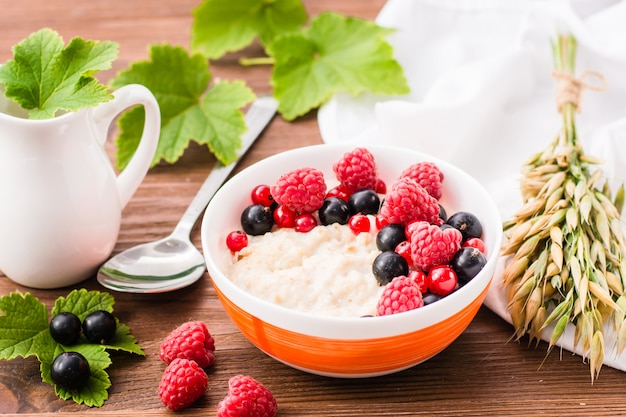 Aveia pronta para comer com framboesas frescas e groselhas