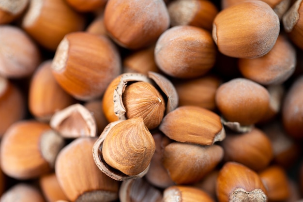 Avellana. Fondo de alimentos Página completa de frutos secos que forman la textura de fondo. Fondo de avellanas Primeros planos de frutos secos.