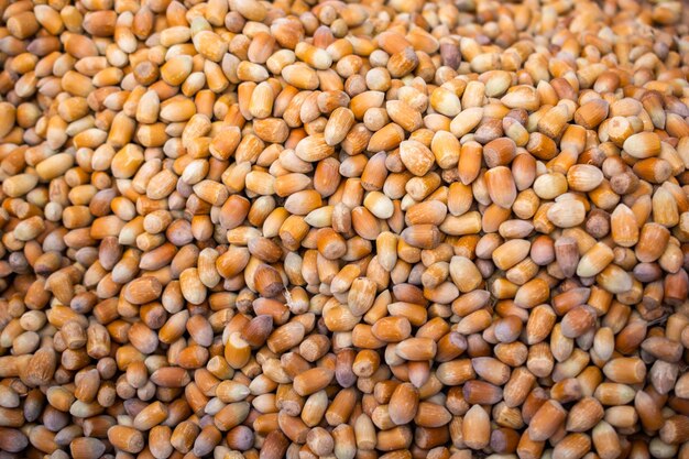 Avellanas maduras con conchas como fondo de alimentos a la vista