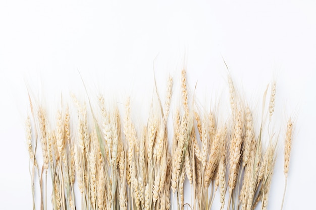 Foto avena aislada en blanco