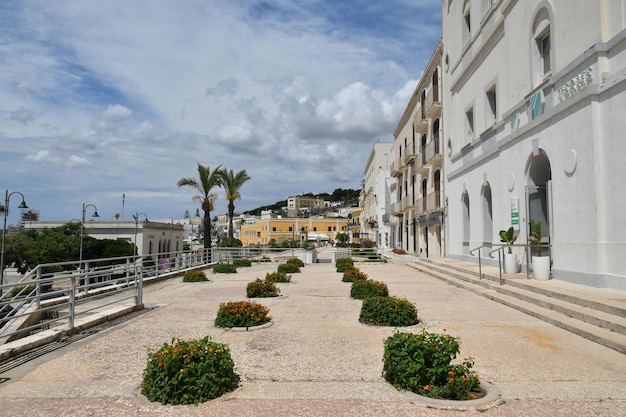 Foto la avenida de una calle en santa cesarea terme, un pueblo de apulia en italia