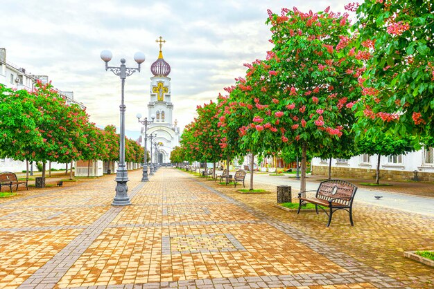 Avenida Chernyakhovsky com castanheiros floridos e a Igreja de Pedro e Fevronia na cidade de Novorossiysk