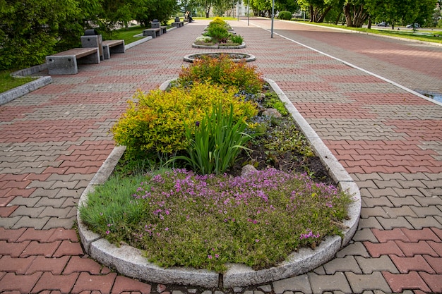 Avenida de paralelepípedos e canteiros de flores com plantas perenes