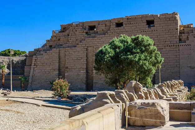 Avenida de las esfinges ramheaded en un templo de Karnak, Luxor, Egipto