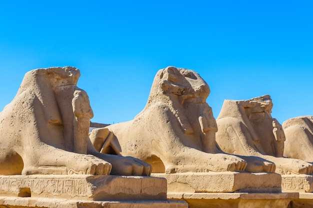 Avenida de las esfinges ramheaded en un templo de Karnak, Luxor, Egipto