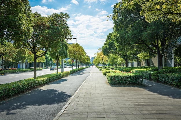 La avenida del siglo de escena callejera en shanghai LujiazuiChina