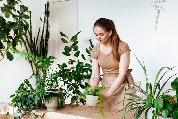 Avental de mulher jovem e bonita whith coloca um pote com planta de casa na mesa com cuidado. Cuidado de plantas em casa