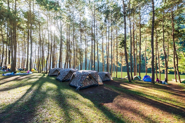 Foto aventuras acampando y acampando por la mañana con luz.