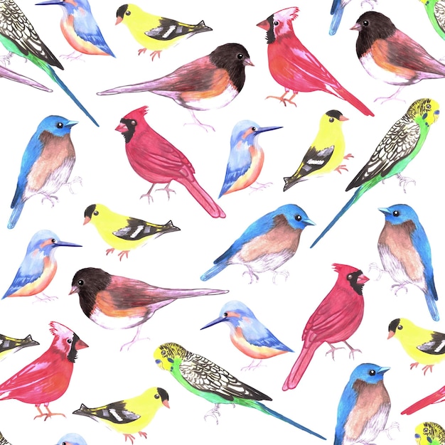 Aves de acuarela de colores con fondo sin costuras en el esquema de colores tetra