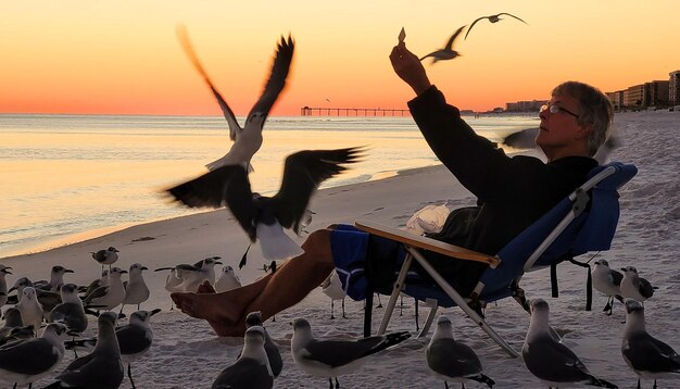 Foto aves de la playa