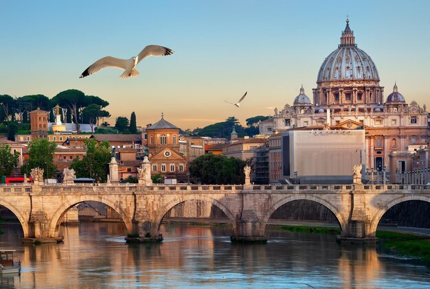 Foto las aves y el vaticano