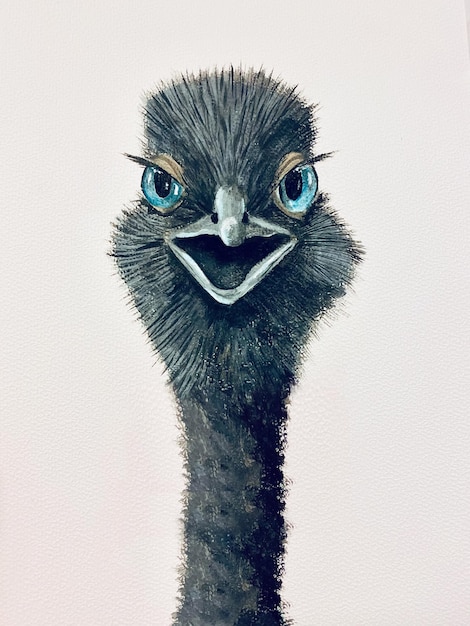 Avestruz con ojos azules sobre fondo blanco Pintura acrílica