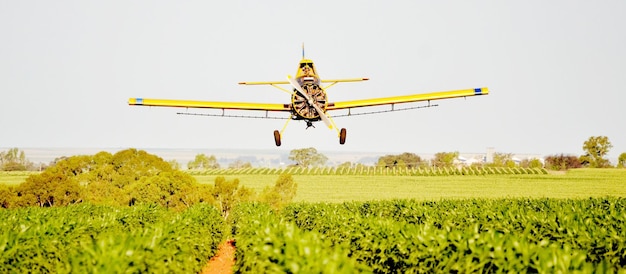 Avião agrícola regando um campo durante o dia