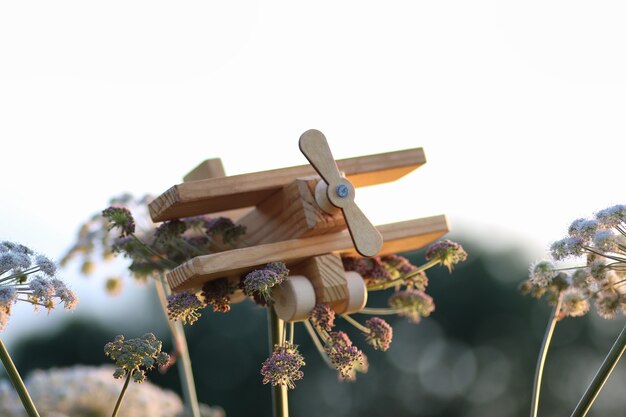 Avião de brinquedo de madeira