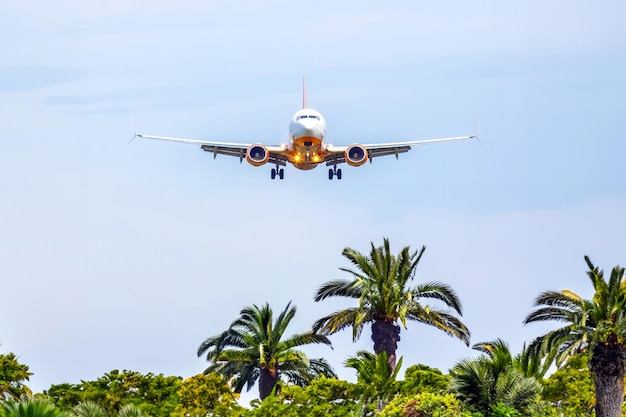 avião de passageiros voa sobre palmeiras indústria de transporte aéreo