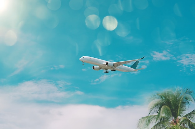 avião voando sobre palmeiras tropicais céu azul claro tempo de férias
