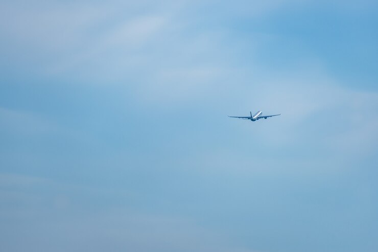 Avión en el cielo