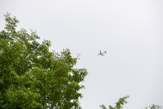 avión en el cielo