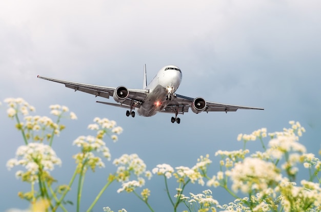 Avión comercial de pasajeros vuela sobre campos de flores en el aeropuerto.